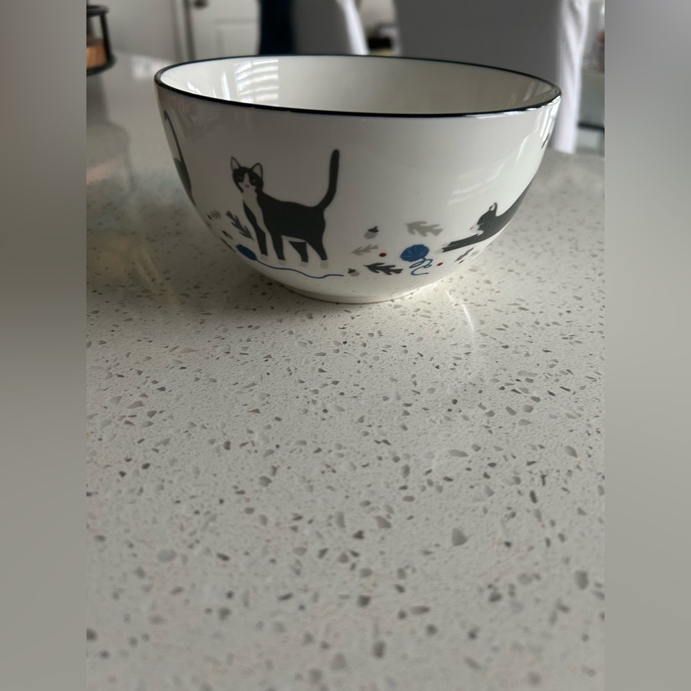 Martha Stewart Black and White Cat Silhouette Bowl